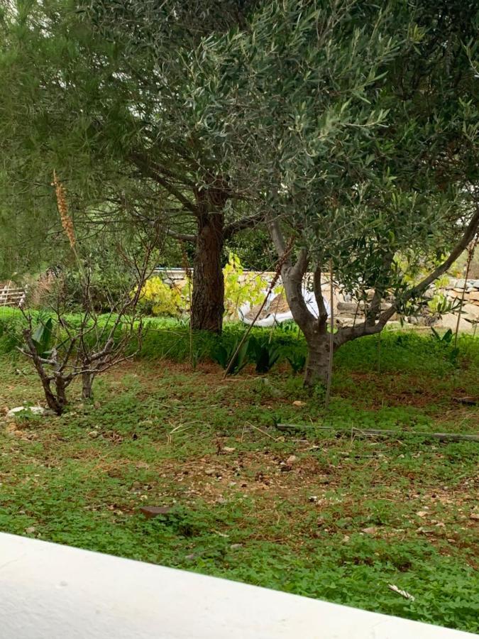 Irenes 2floor Maisonette * Piso Livadi
