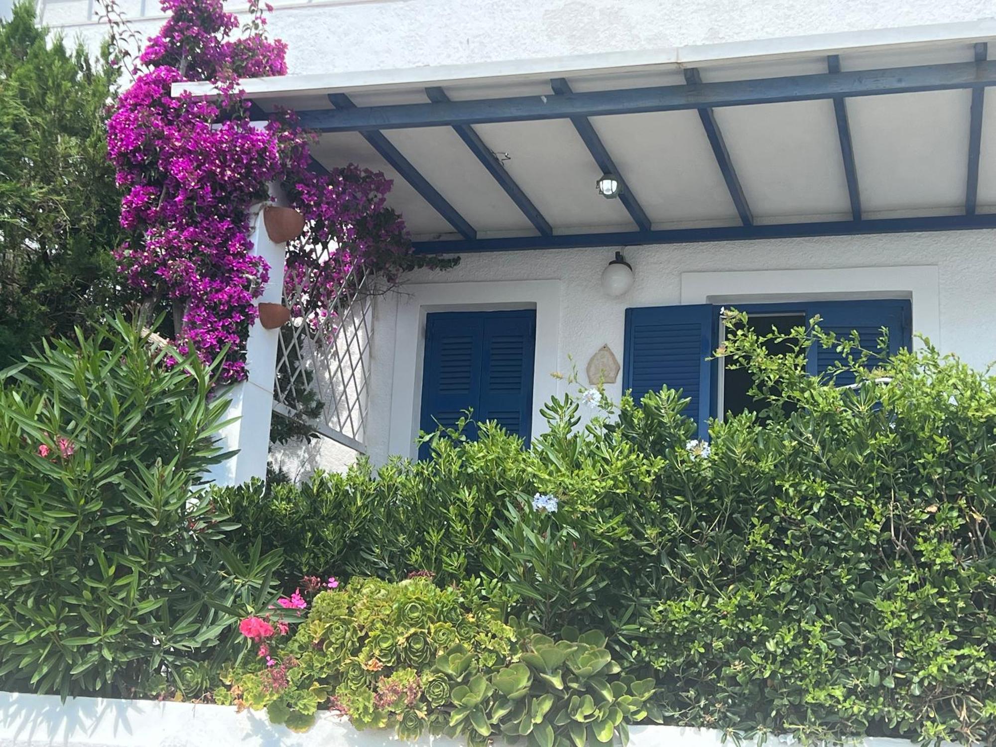 Irenes House Holiday home *